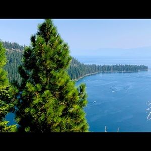 Meet your Posher, Siena